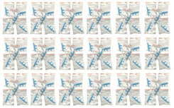 Waterstof therapie neus-stukjes (100 stuks)